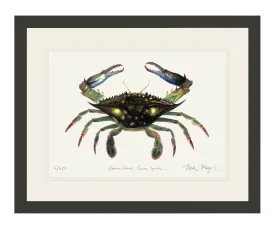 Blue Crab, Claws In Print