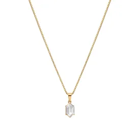 Clear Terrarium Necklace
