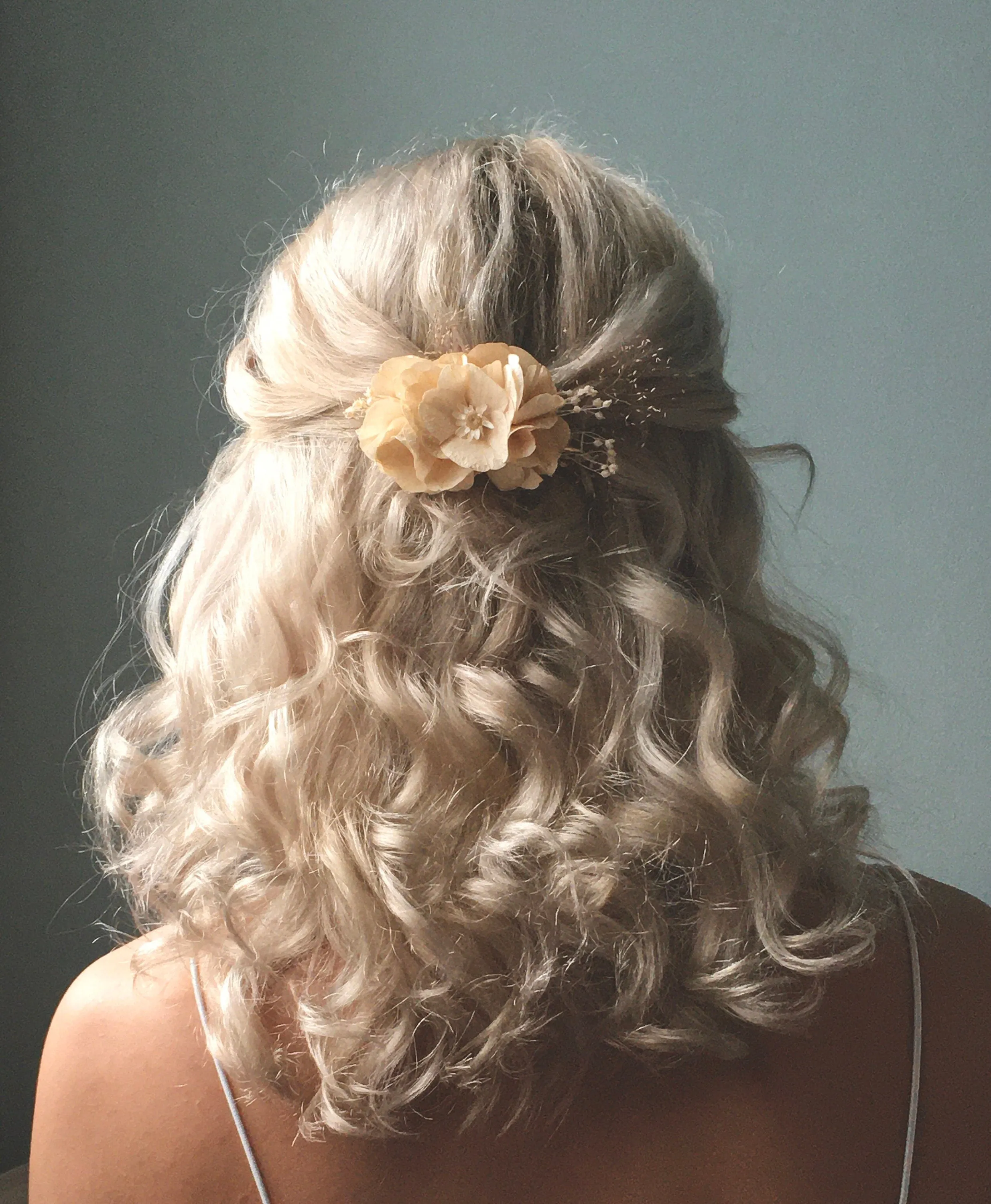 Dried Flower Hair Clip Nude Champagne, Boho Country Bridal Hair Piece UK, Hydrangea Hair Clip, Everlasting Preserved Hair Accessories