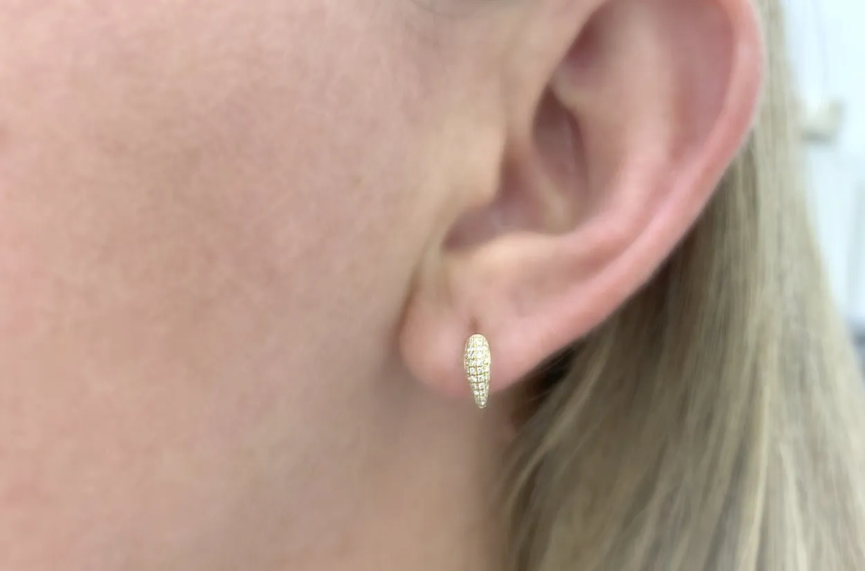 Earrings Claws 14kt Gold & Diamonds