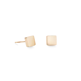 Earrings Square stainless steel rose gold