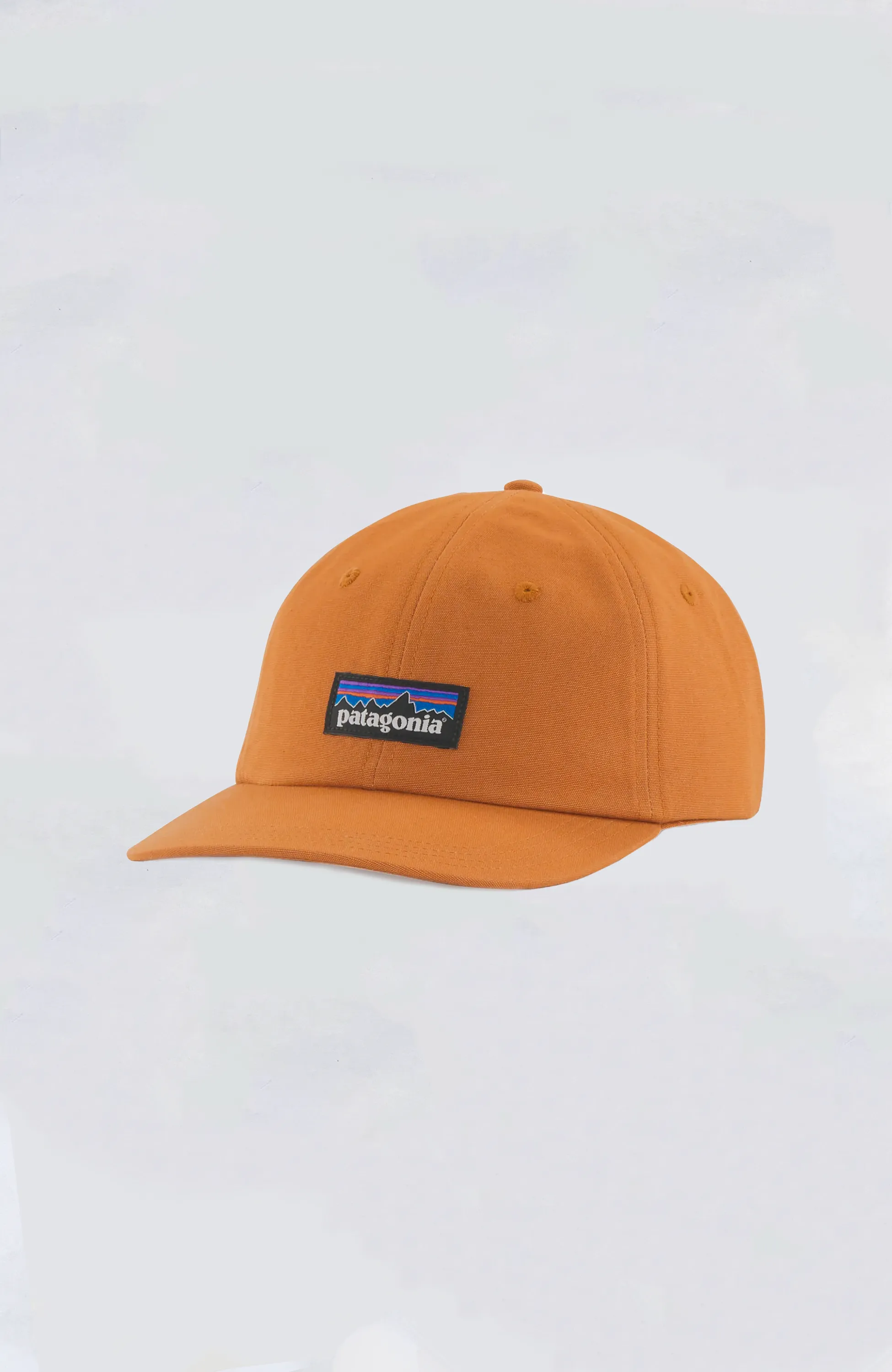 Patagonia - P-6 Label Trad Cap