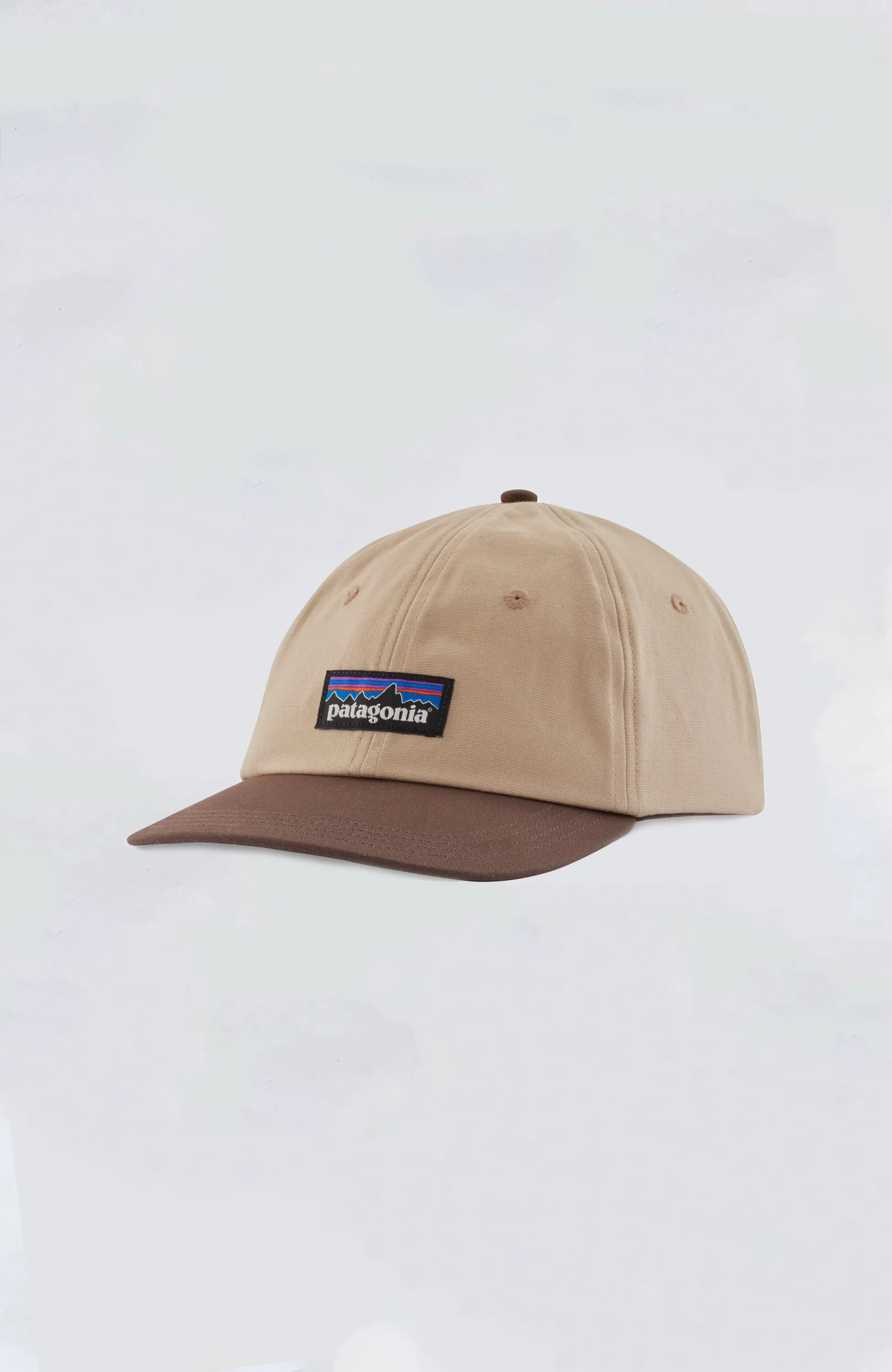 Patagonia - P-6 Label Trad Cap