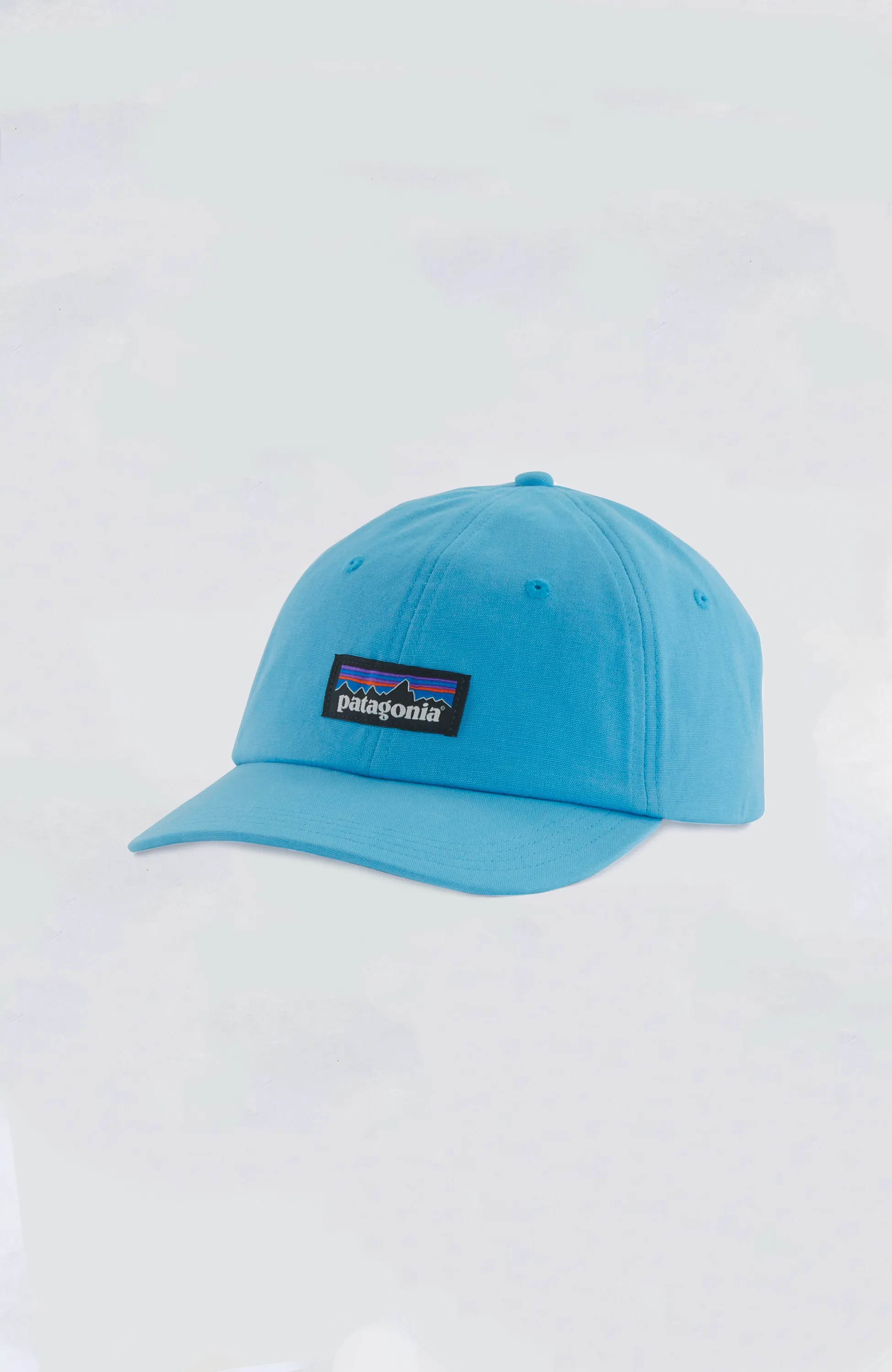 Patagonia - P-6 Label Trad Cap