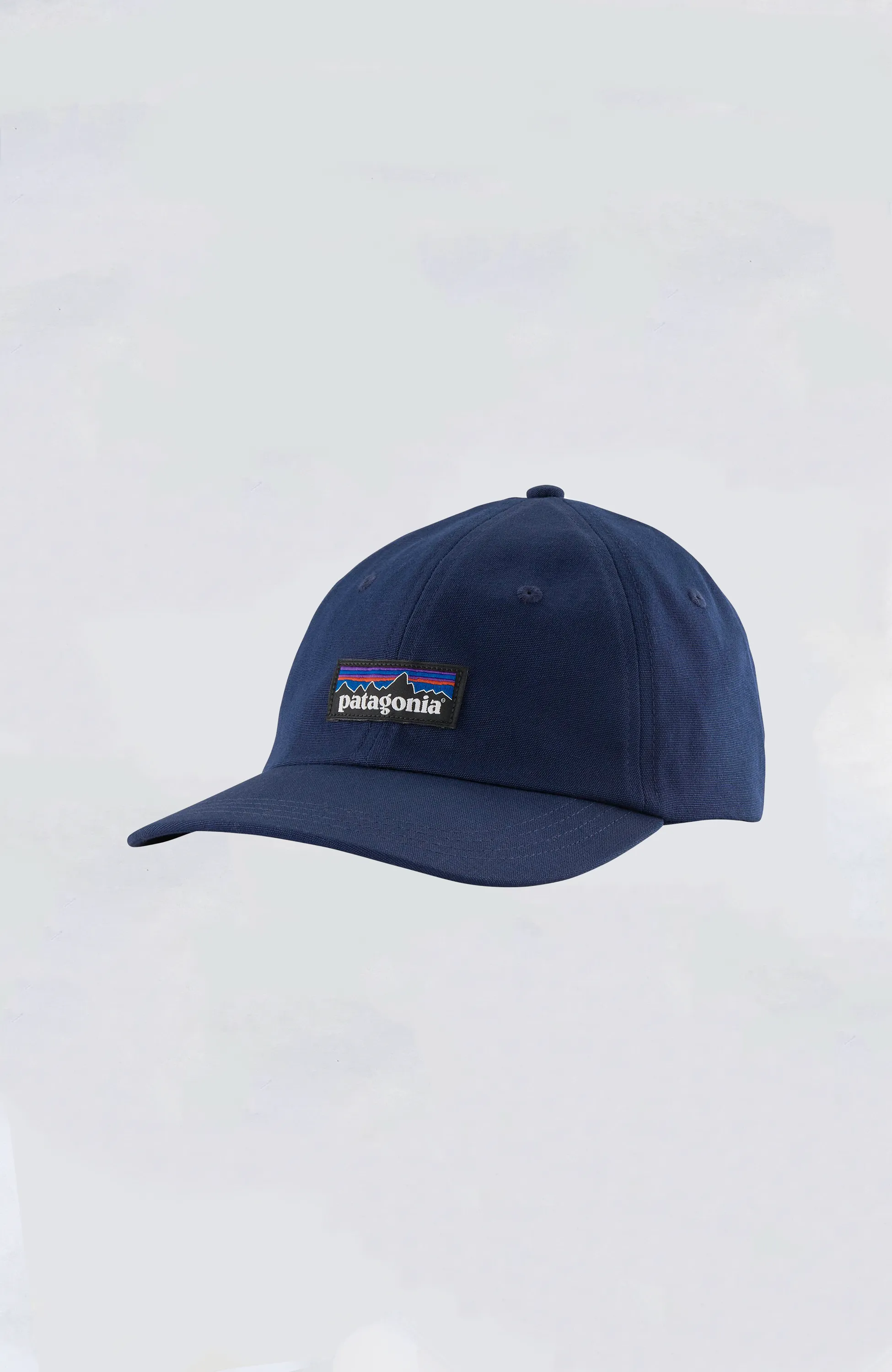 Patagonia - P-6 Label Trad Cap