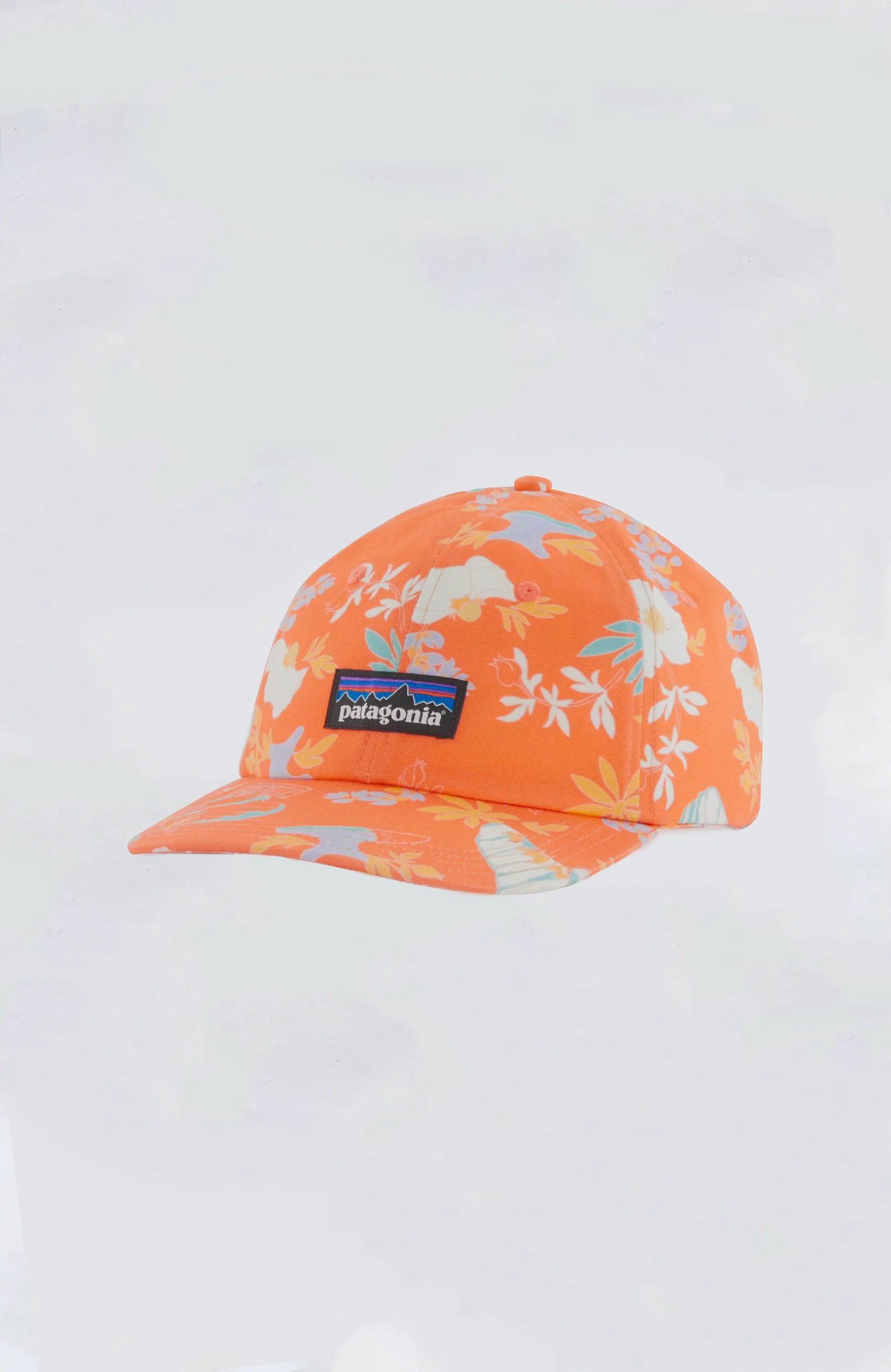 Patagonia - P-6 Label Trad Cap