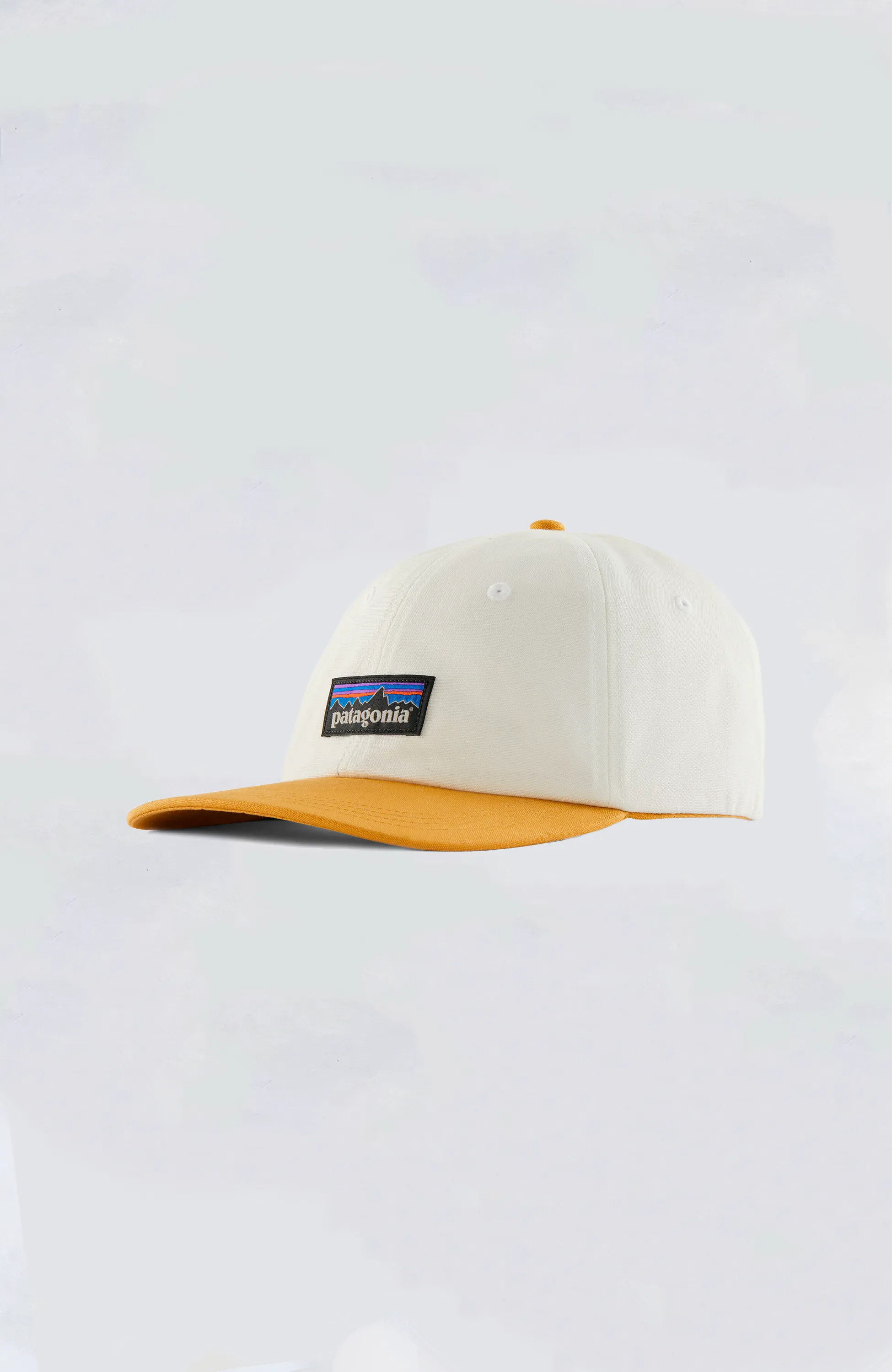 Patagonia - P-6 Label Trad Cap