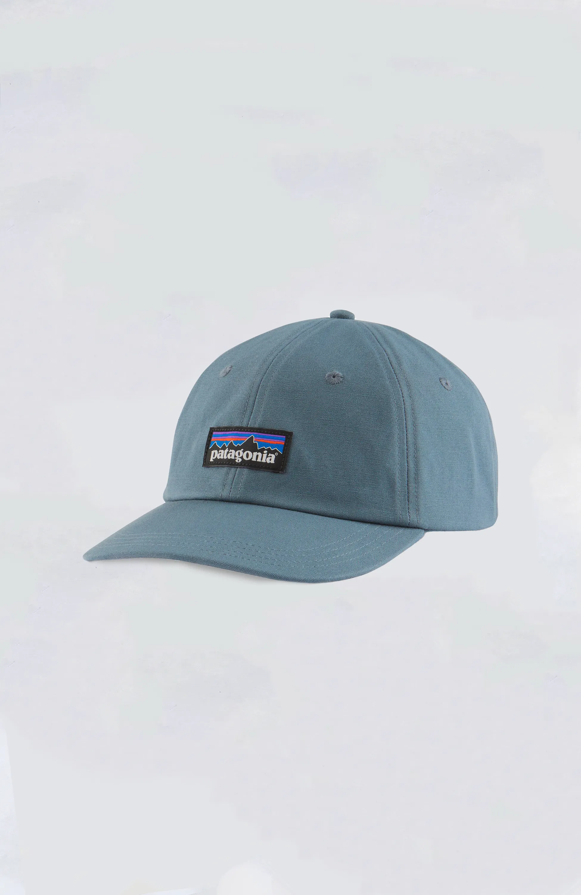 Patagonia - P-6 Label Trad Cap