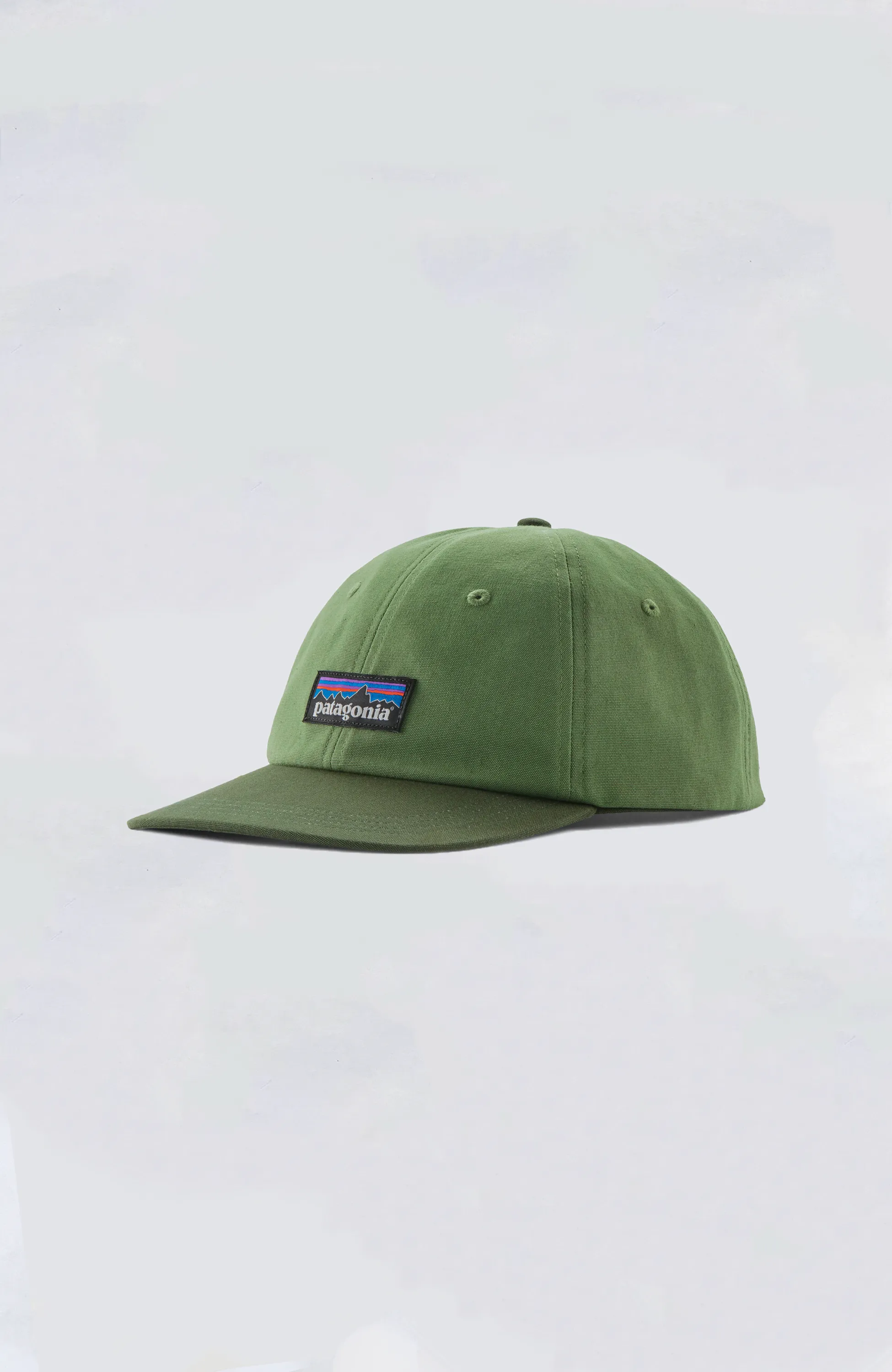 Patagonia - P-6 Label Trad Cap