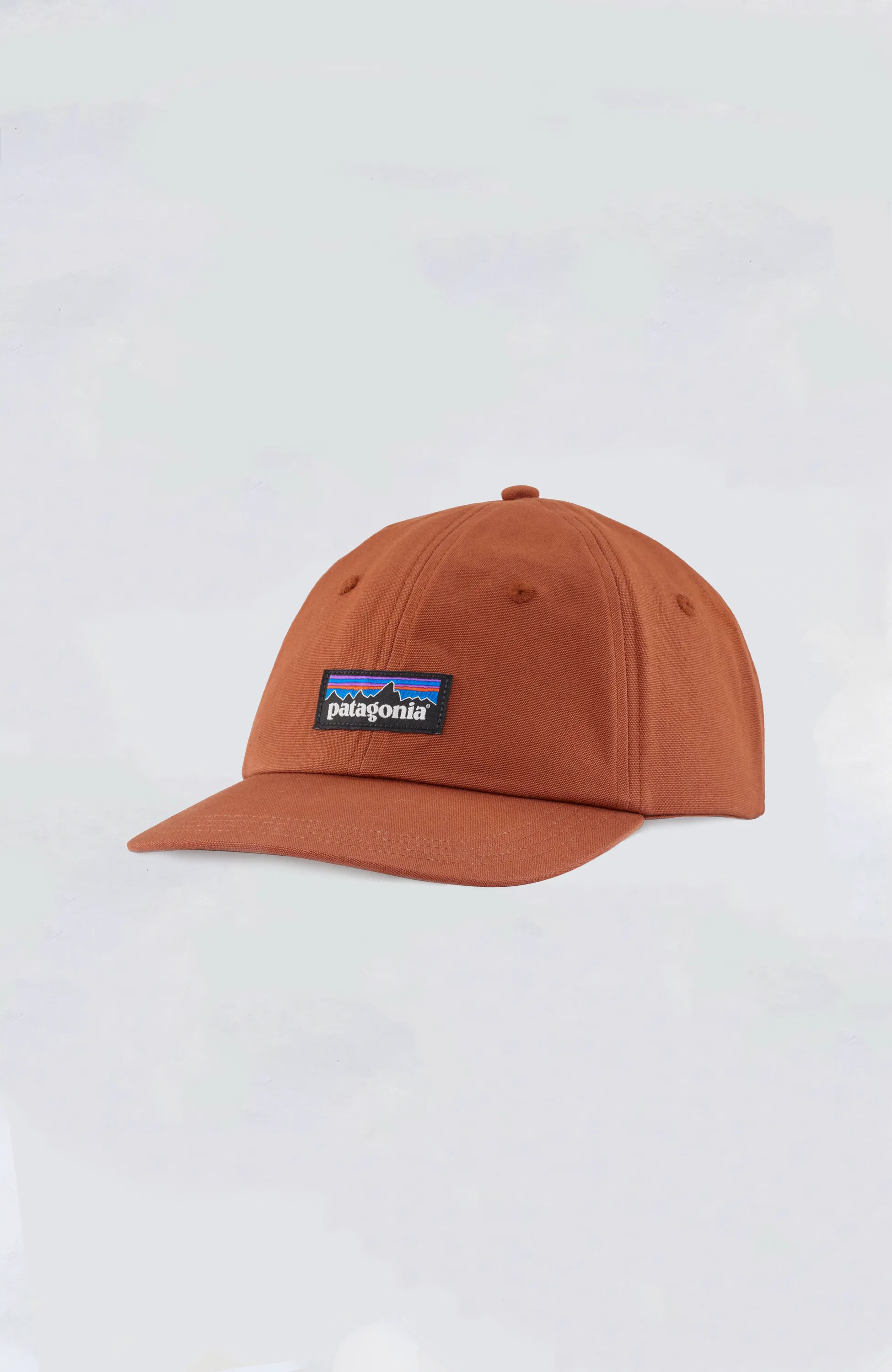 Patagonia - P-6 Label Trad Cap