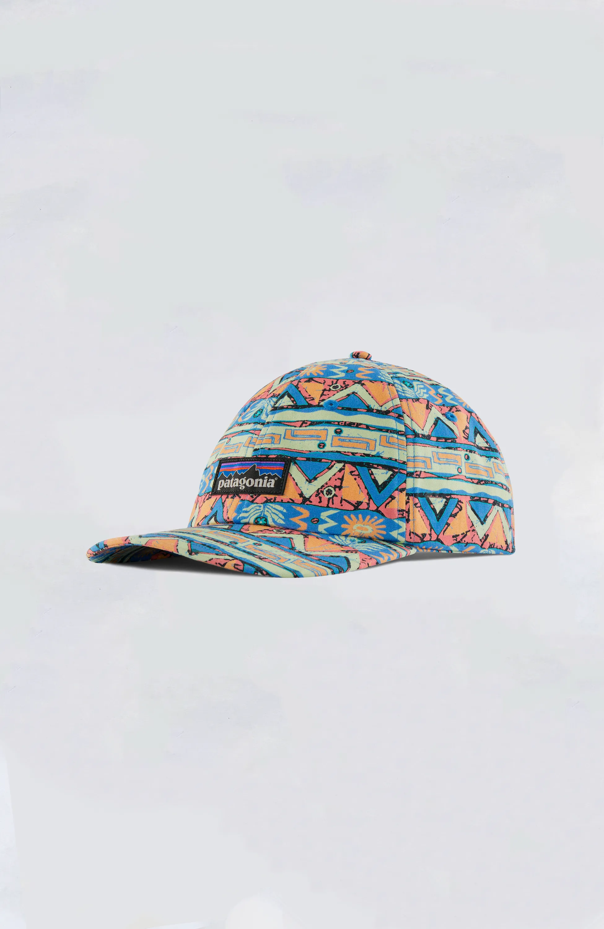 Patagonia - P-6 Label Trad Cap