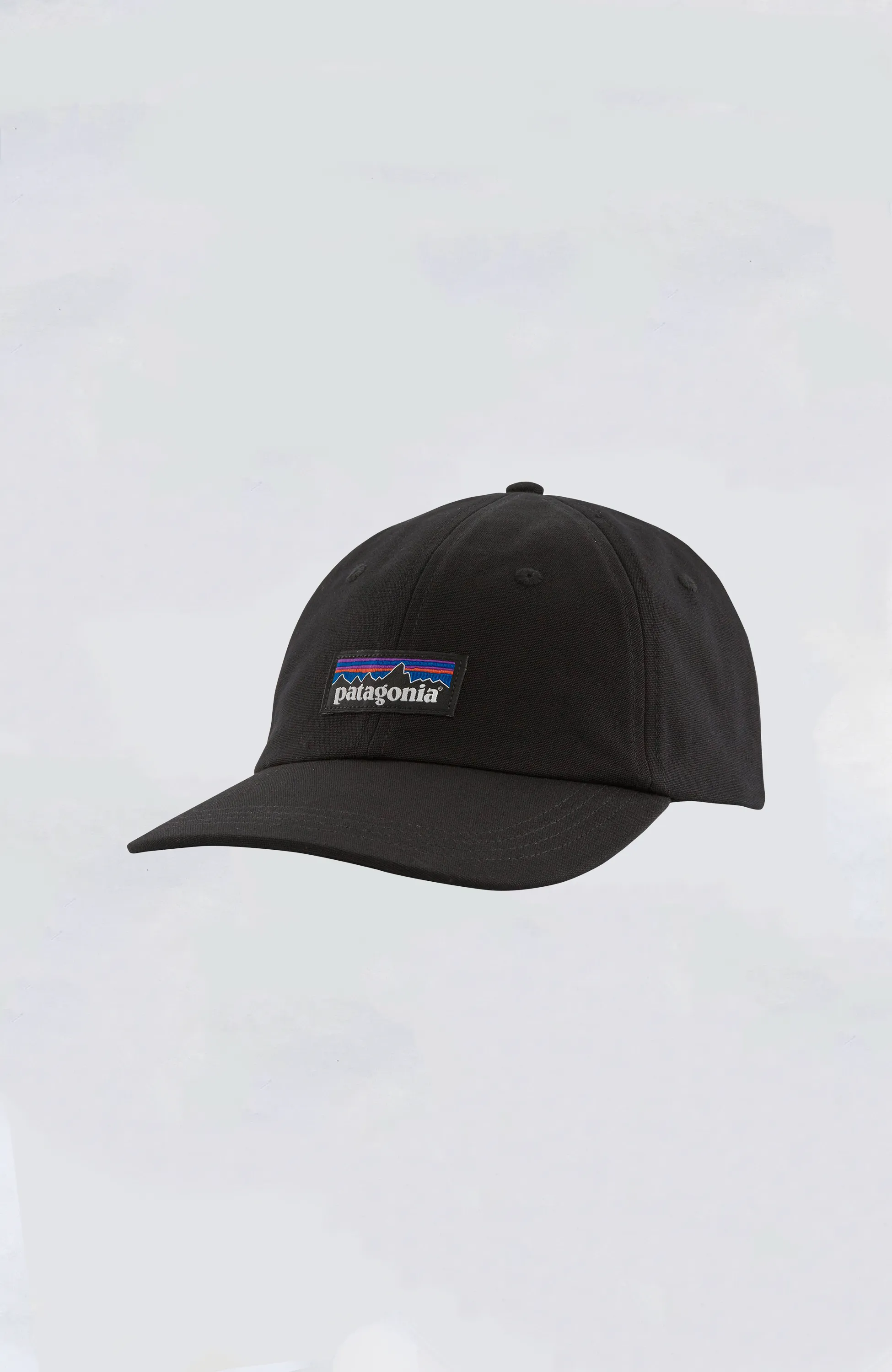 Patagonia - P-6 Label Trad Cap