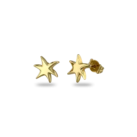 Star Earrings